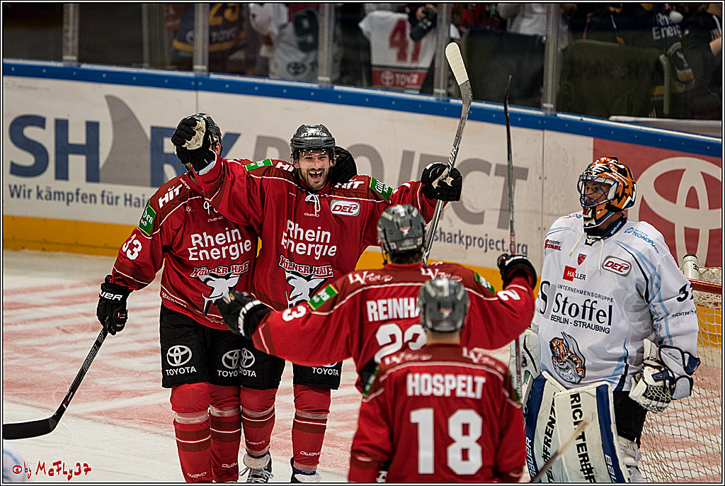 Koelner Haie - Straubing Tigers, 03.10.2016